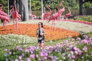 BIB: 
                            <button type="button" onclick="openModal(27794193)" class="btn btn-primary btn-sm float-right btn-popup" data-toggle="modal" data-target=".modal-high-quality">
                        <i class="fas fa-shopping-cart"></i> Add to Cart
                    </button>
                                            <button type="button" onclick="isThisMe(27794193, true)" class="btn btn-success btn-sm float-right btn-popup btn-isme hidden" data-toggle="tooltip" data-placement="bottom" title="นี่คือรูปของคุณใช่ไหม คลิกที่นี่เพื่อเอาเข้าอัลบั้ม">
                        <i class="fas fa-plus"></i> Add to album
                    </button>
                    <button type="button" onclick="isThisMe(27794193, false)" class="btn btn-warning btn-sm float-right btn-popup btn-isnotme hidden">
                        <i class="fas fa-ban"></i> Remove from album
                    </button>